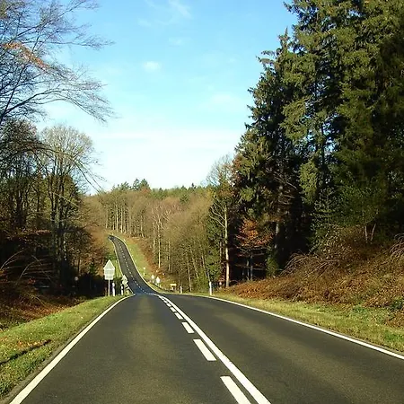 ホテル Restaurant Schmidter Bauernstube 2*