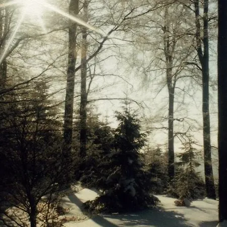 ホテル Restaurant Schmidter Bauernstube 2*