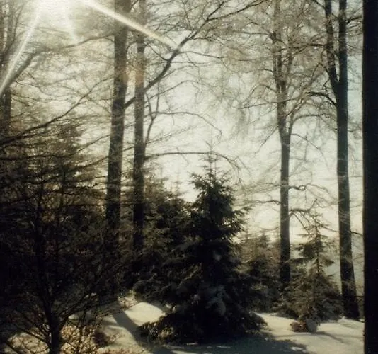 Szálloda Restaurant Schmidter Bauernstube 2*